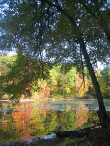 Living near water is a source of tremendous joy and anxiety for ASD families.